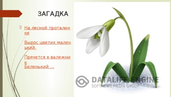 Тема урока. Загадки  весны.